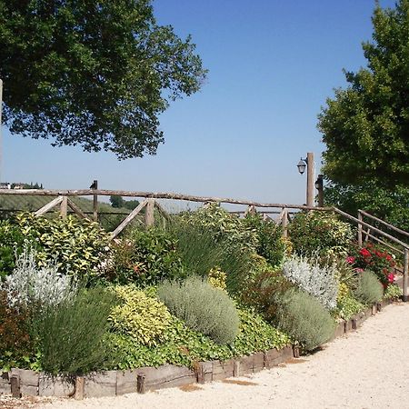 Tenuta Colverano Монтефалко Екстериор снимка