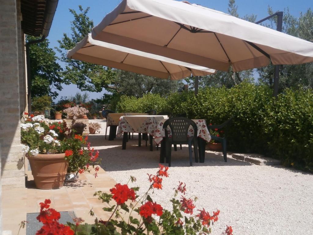 Tenuta Colverano Монтефалко Екстериор снимка