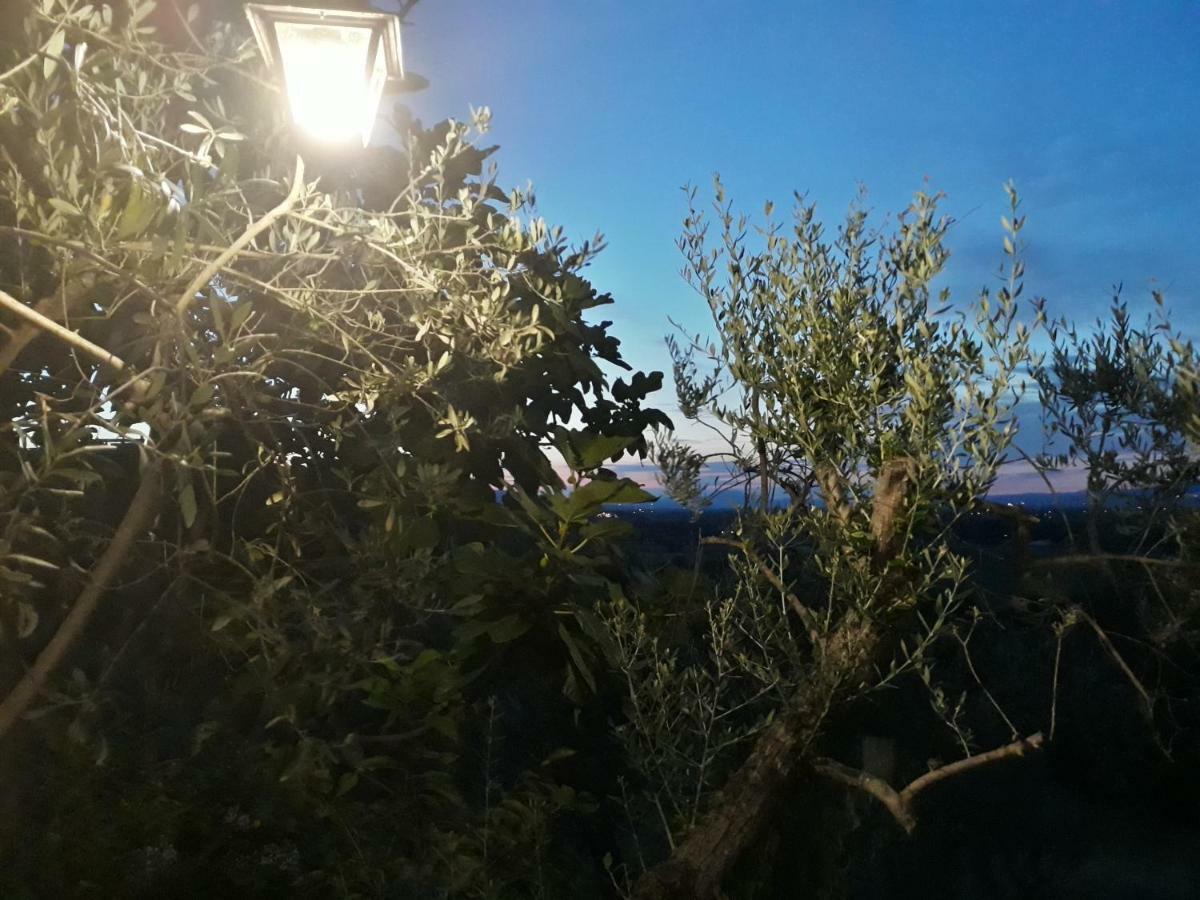 Tenuta Colverano Монтефалко Екстериор снимка